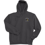 Delaware Jr. Blue Hens Ultimate Cotton - Pullover Hooded Sweatshirt