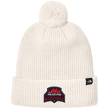 Philadelphia Resistance The North Face Pom Beanie