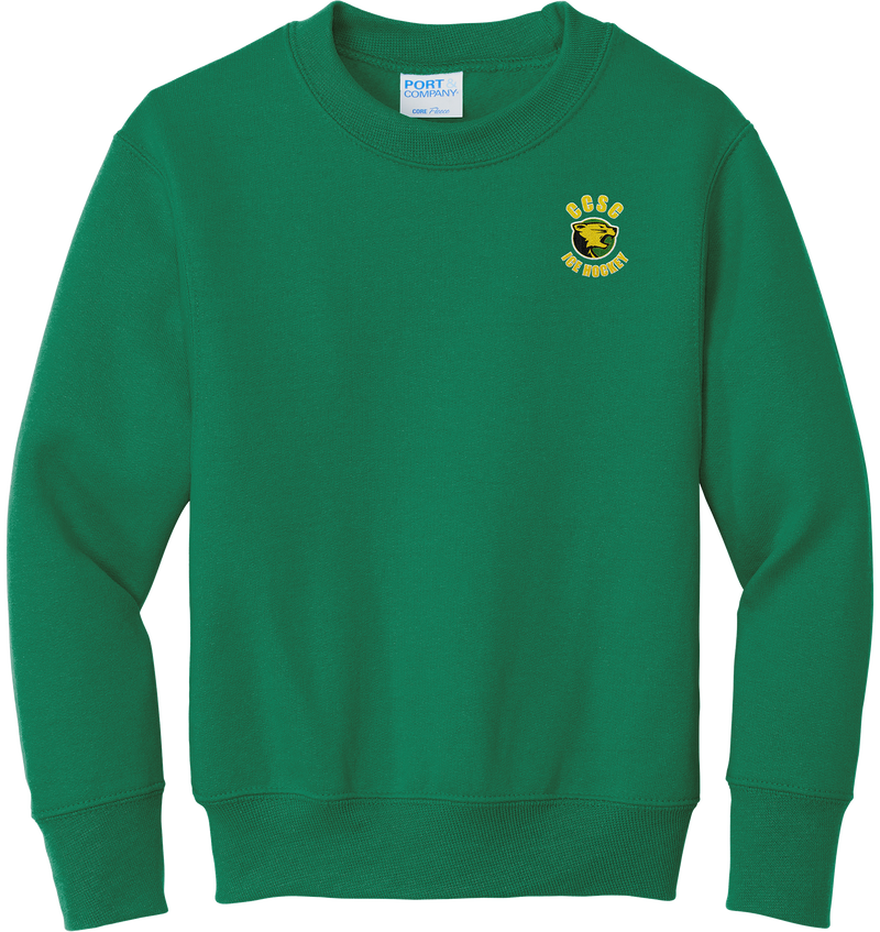 Chester County Youth Core Fleece Crewneck Sweatshirt